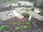 Aranjamente Plante Cu Piatra Scoarta Ornamentala - 10050 Aranjamente Plante Cu Piatra Scoarta Ornamentala